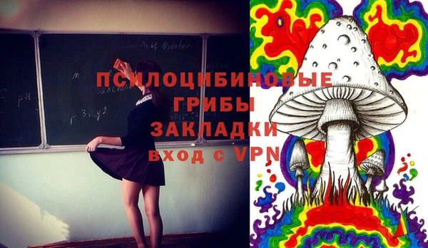 молекула духа Беломорск