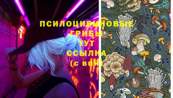 ГАЛЛЮЦИНОГЕННЫЕ ГРИБЫ Балабаново